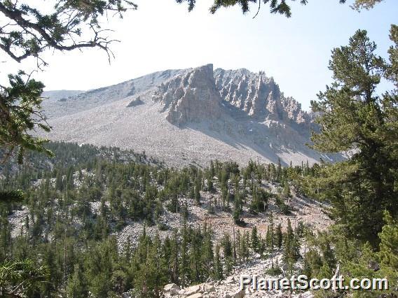 Great Basin NP, Nevada