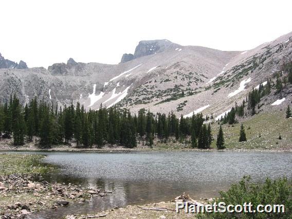 Great Basin National Park, Nevada