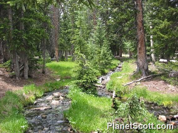 Great Basin National Park, Nevada