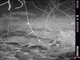 Image from 2020-10-29