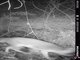 Image from 2020-10-28