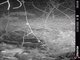 Image from 2020-10-28
