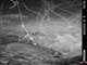Image from 2020-10-25