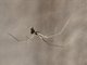 Image from 2021-06-04
