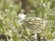 Image from 2021-06-09