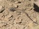 Image from 2021-06-11