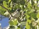 Image from 2021-06-12