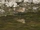Image from 2021-07-12