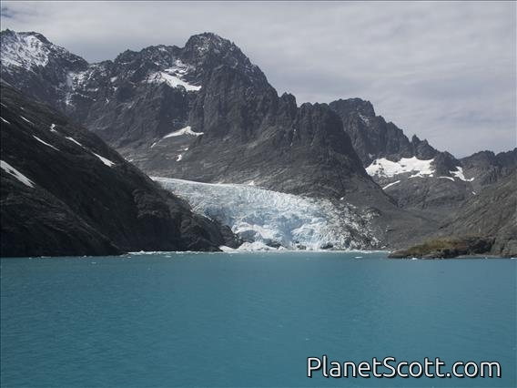 Drygalski Fjord