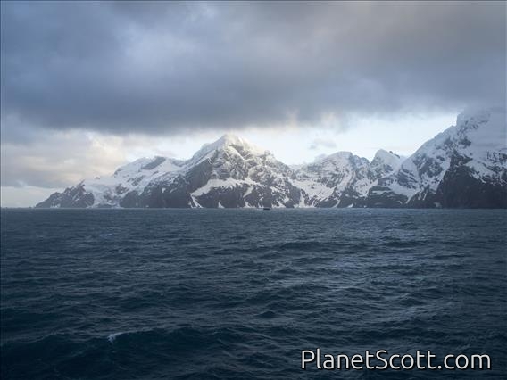 Elephant Island