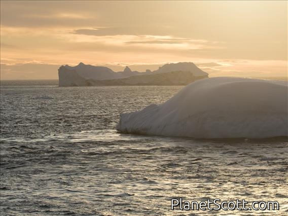 Icebergs