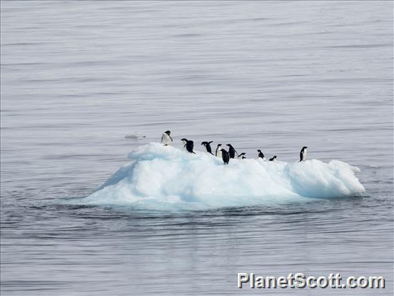 Antarctica and Argentina