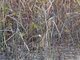 Image from 2022-01-15