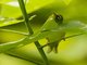 Image from 2022-05-07