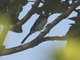 Image from 2022-05-09