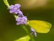 Image from 2022-05-09