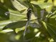Image from 2022-08-07