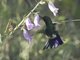 Image from 2023-02-05