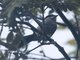 Image from 2023-02-09