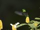 Image from 2023-02-12