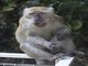 Image from 2023-03-15