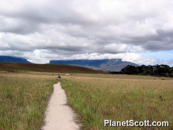 The trail to Roraima