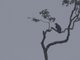 Image from 2023-03-21