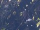 Image from 2023-03-22