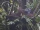 Image from 2023-03-22