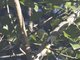 Image from 2023-03-22