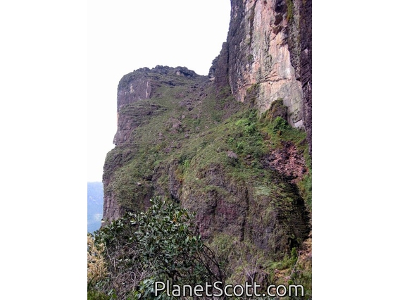 Final ascent to Roraima 