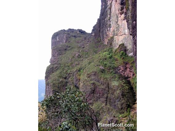Final ascent to Roraima Lost World