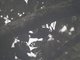 Image from 2023-03-26
