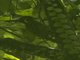 Image from 2023-03-30