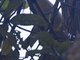 Image from 2023-03-31
