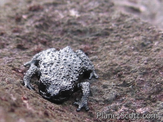 Images for Venezuela