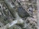 Image from 2023-04-01