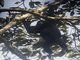 Image from 2023-04-02