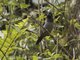 Image from 2023-04-02
