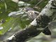 Image from 2023-04-02