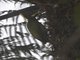 Image from 2023-04-02