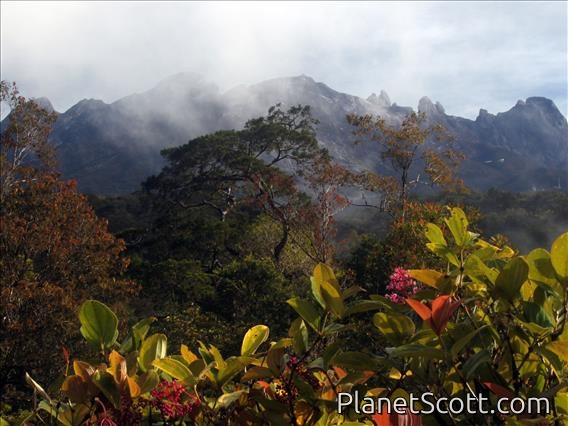 Mount Kinabalu