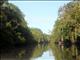 Kinabatangan River