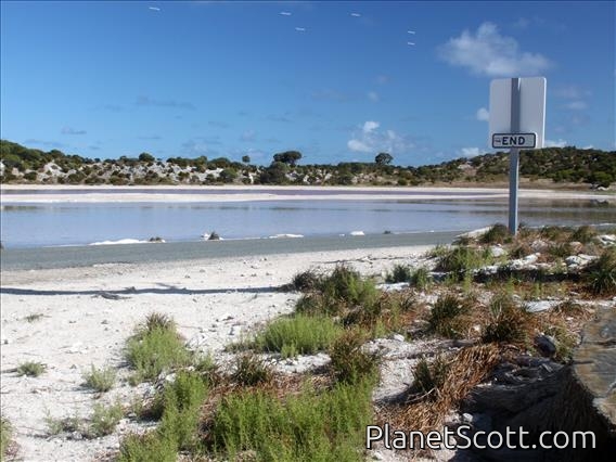 Rottnest