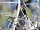 Image from 2023-04-06