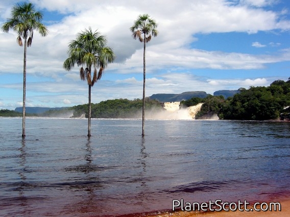 Trip Report, maps, and images for Venezuela