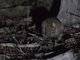 Image from 2023-04-06