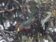 Image from 2023-04-08