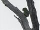 Image from 2023-04-09