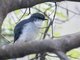 Image from 2023-04-09